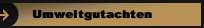 Umweltgutachten